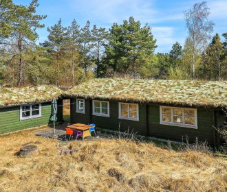 4 Persoons Vakantie Huis In Læsø